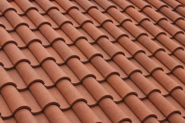 Close-up of pan roof tiles