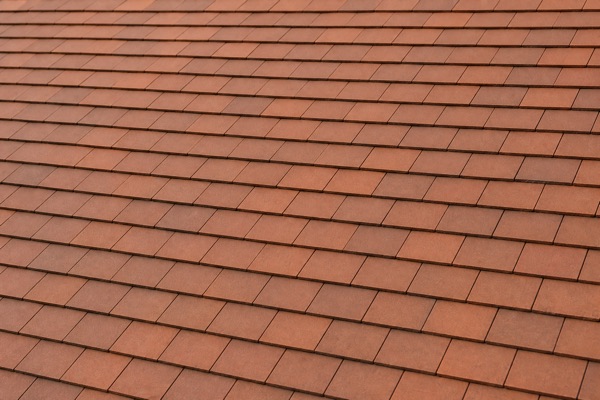 Close-up of plain roof tiles